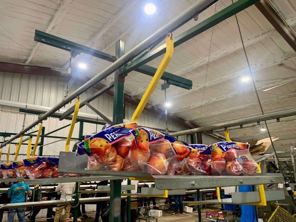 Packhouse Innovation Summit - Packhouse image
