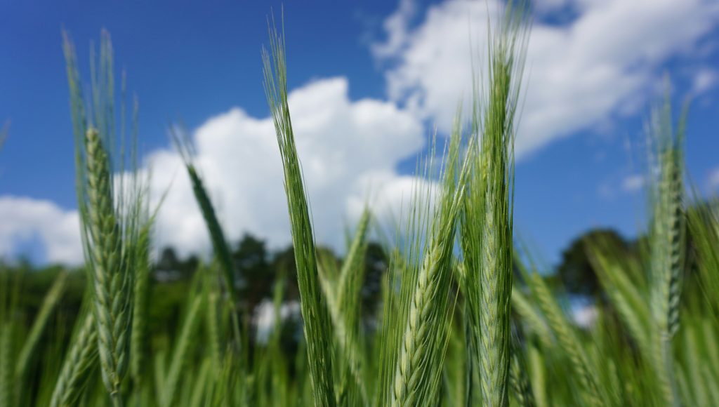 Soil health event background